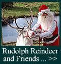 Rudolph Reindeer and Friends