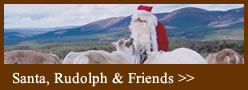 See santa with Rudolph and Friends