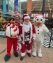 Santa Claus - Christmas 2025